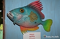 VBS_7104 - Mondo Babonzo